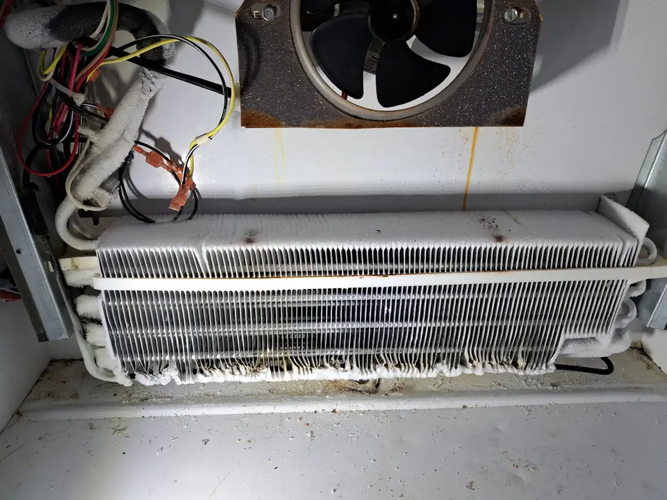 Refrigerator evaporator coil completely covered in frost behind the removed back panel of the freezer